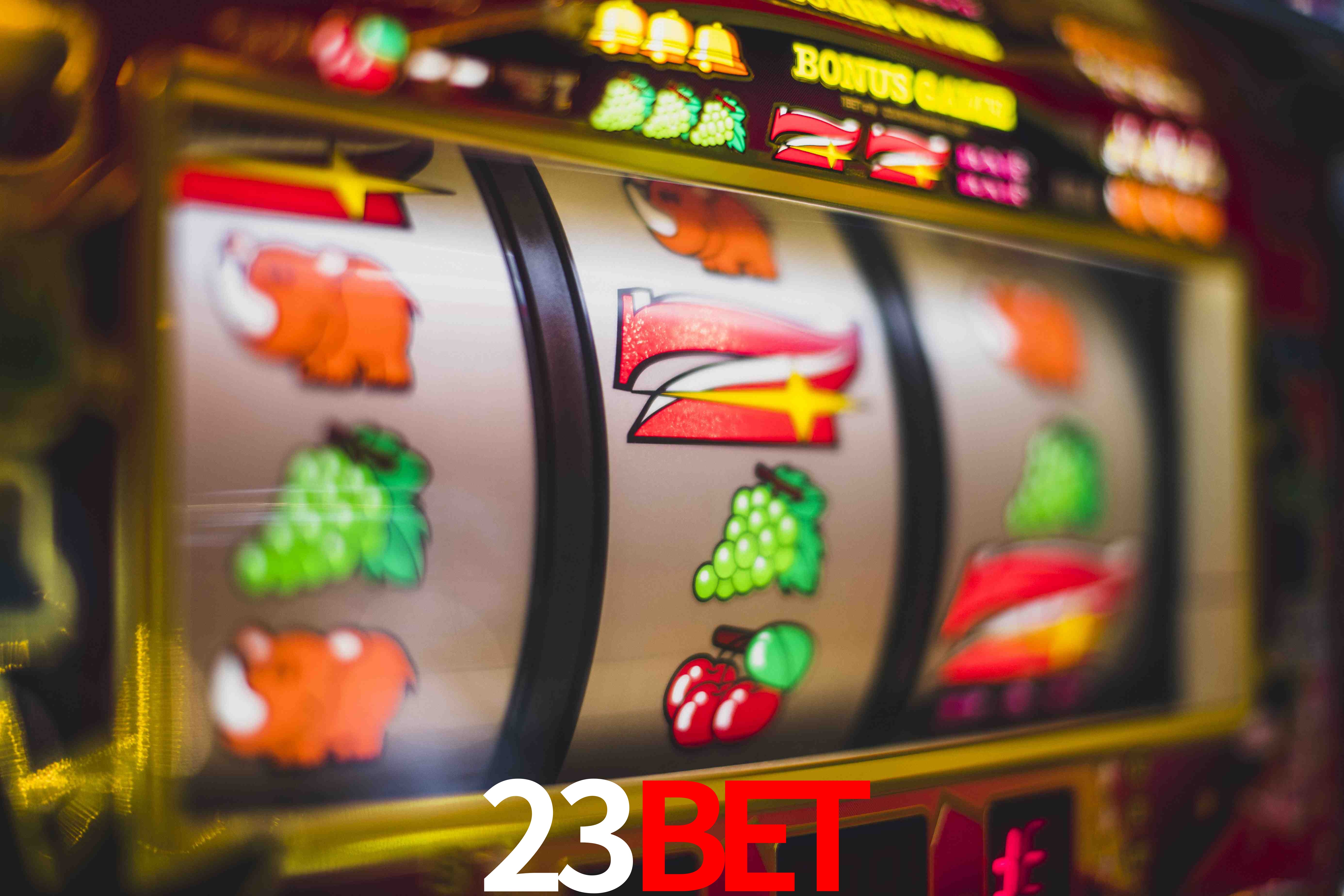 Experiência VIP 23BET